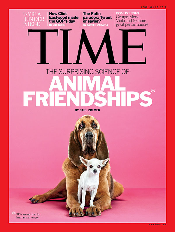 Time cover dogs